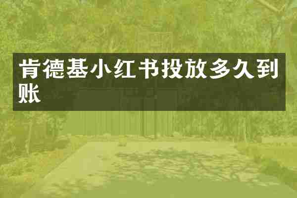 肯德基小红书投放多久到账