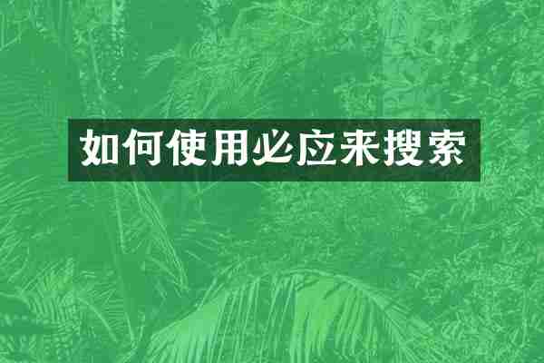 如何使用必应来搜索