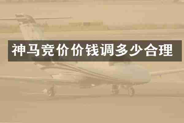 神马竞价价钱调多少合理