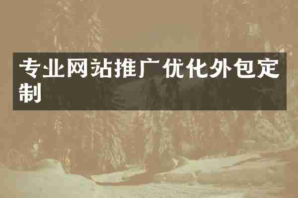 专业网站推广优化外包定制