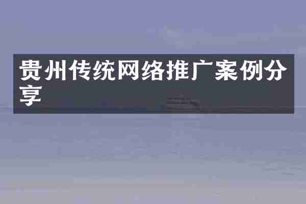 贵州传统网络推广案例分享