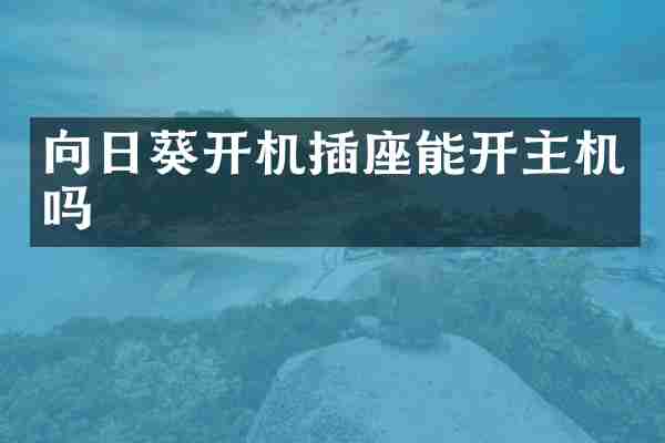 向日葵开机插座能开主机吗