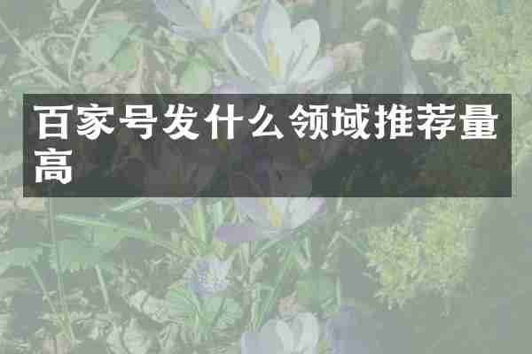 百家号发什么领域推荐量高