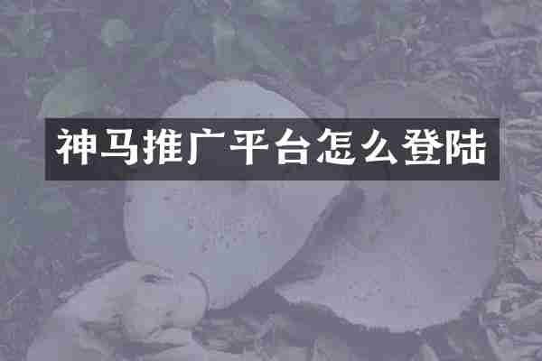 神马推广平台怎么登陆