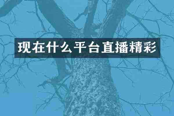 现在什么平台直播精彩