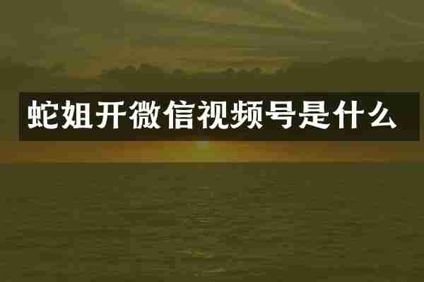 蛇姐开微信视频号是什么