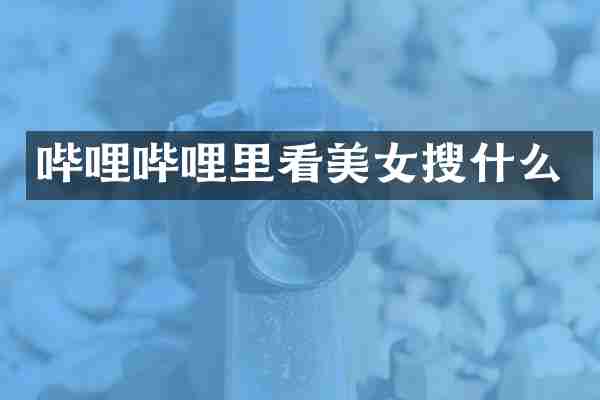 哔哩哔哩里看搜什么