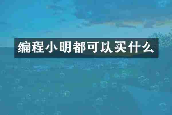 编程小明都可以