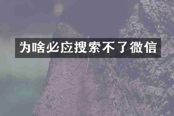 为啥必应搜索不了微信