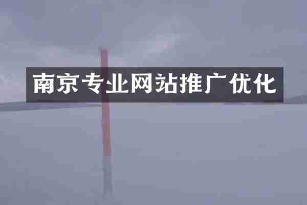 南京专业网站推广优化