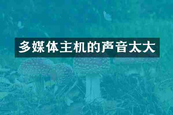 多媒体主机的声音太大