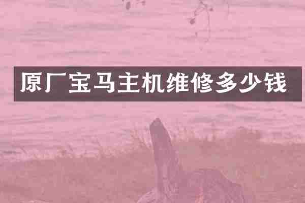 原厂宝马主机维修多少钱