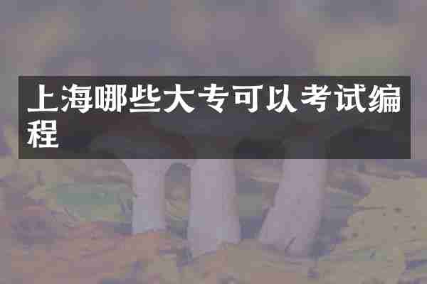 上海哪些大专可以考试编程