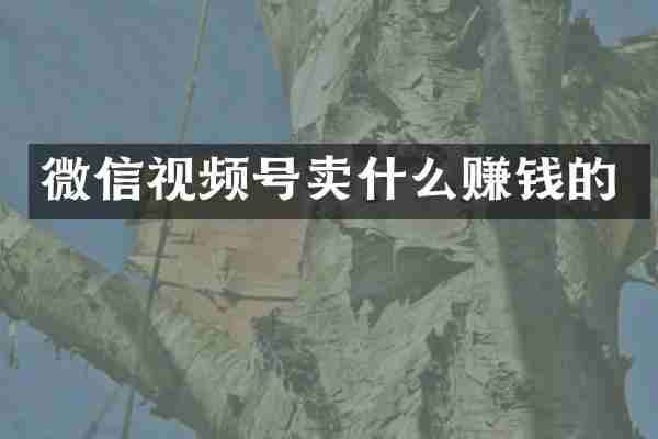 微信视频号卖什么赚钱的