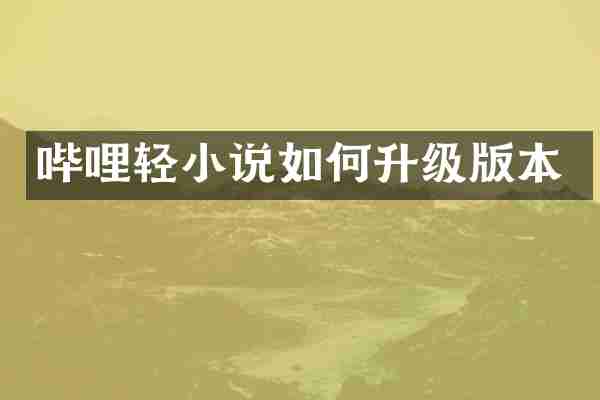 哔哩轻小说如何升级版本