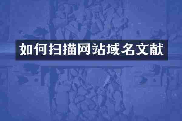 如何扫描网站域名文献