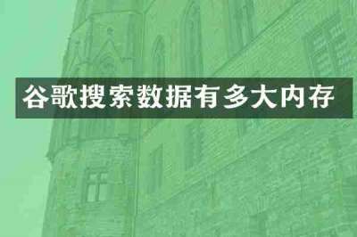 谷歌搜索数据有多大内存