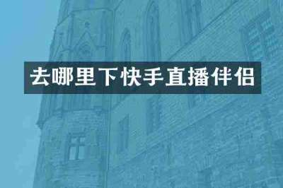 去哪里下快手直播伴侣