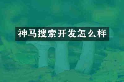 神马搜索开发怎么样