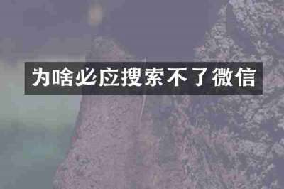为啥必应搜索不了微信