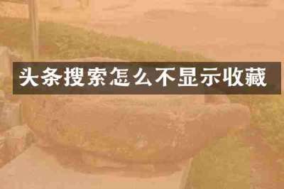 头条搜索怎么不显示收藏