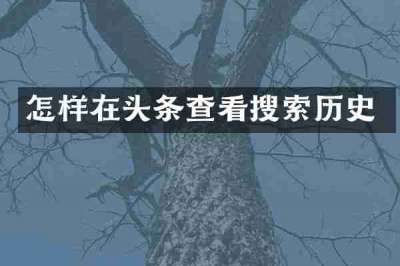 怎样在头条查看搜索历史