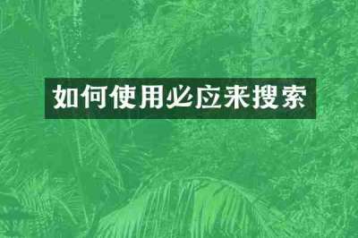 如何使用必应来搜索