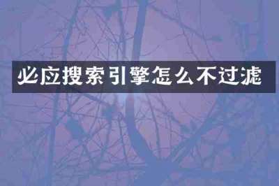 必应搜索引擎怎么不过滤
