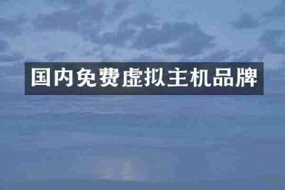 国内免费虚拟主机品牌