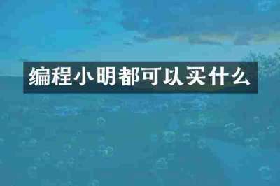 编程小明都可以买什么