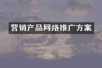 营销产品网络推广方案