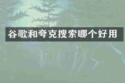 谷歌和夸克搜索哪个好用