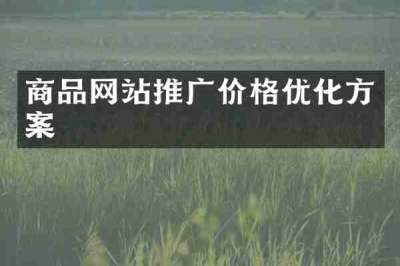 商品网站推广价格优化方案