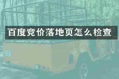 百度竞价落地页怎么检查