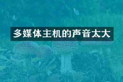 多媒体主机的声音太大