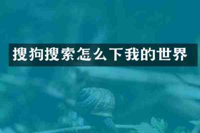 搜狗搜索怎么下我的世界