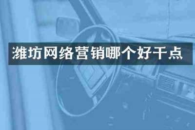 潍坊网络营销哪个好干点