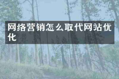 网络营销怎么取代网站优化