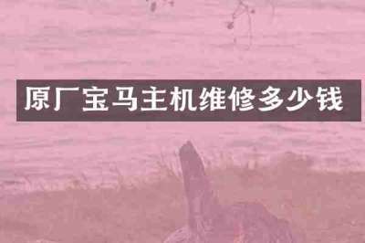 原厂宝马主机维修多少钱