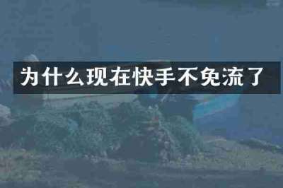 为什么现在快手不免流了