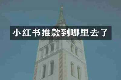 小红书推款到哪里去了