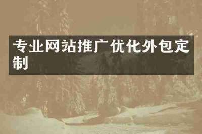 专业网站推广优化外包定制