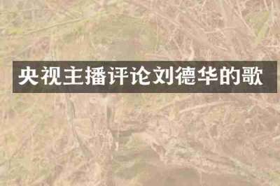 央视主播评论刘德华的歌