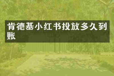 肯德基小红书投放多久到账