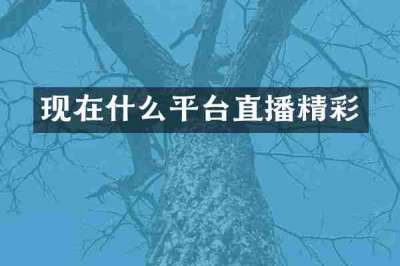 现在什么平台直播精彩
