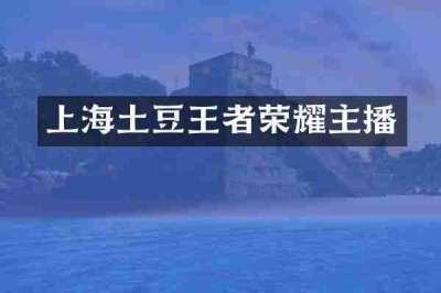 上海土豆王者荣耀主播