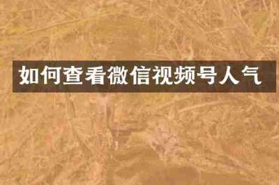 如何查看微信视频号人气