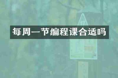每周一节编程课合适吗
