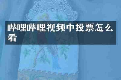 哔哩哔哩视频中投票怎么看