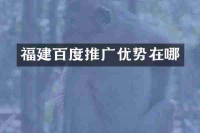 福建百度推广优势在哪
